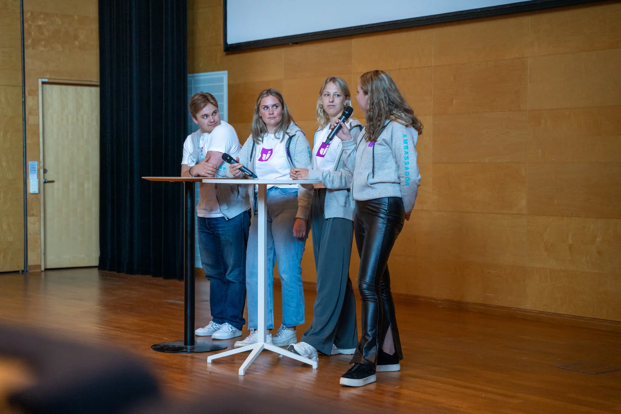 Studentambassadörer