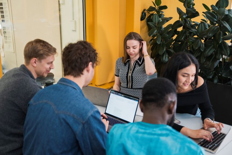 More students choose programmes that shape the society of tomorrow