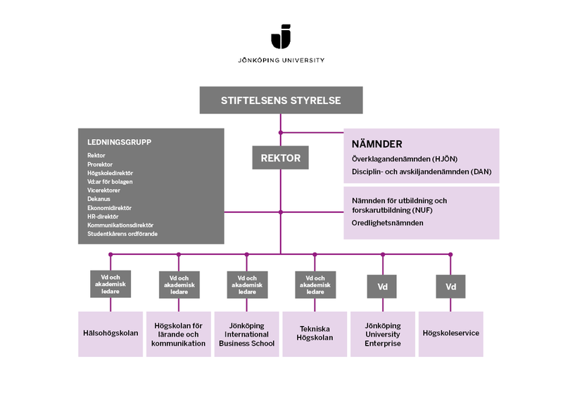 Organisationsskiss